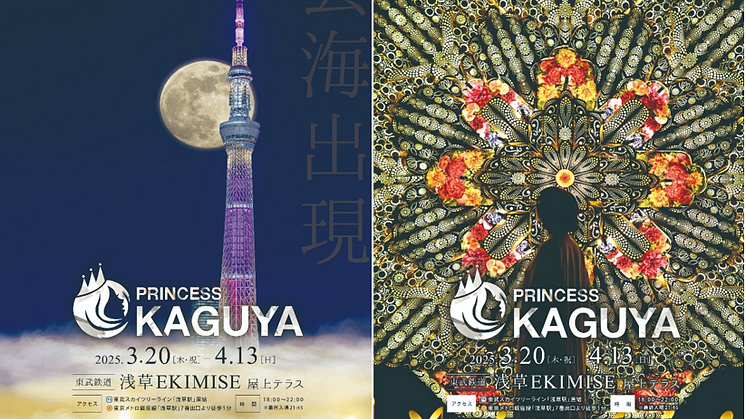 Experience the Enchanting 'PRINCESS KAGUYA' Light-Up Event in Asakusa!