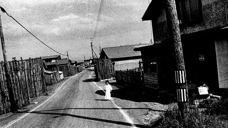 © Daido Moriyama Photo Foundation