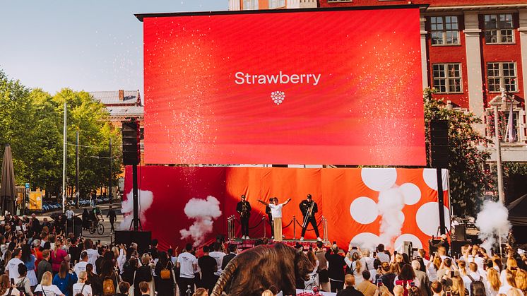 Strawberry 4