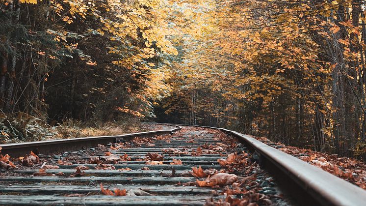 Chance to discuss Cross City leaf fall timetable in Birmingham
