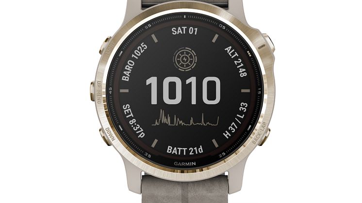 fenix 6S Pro Solar Gold / Grau / Veloursleder