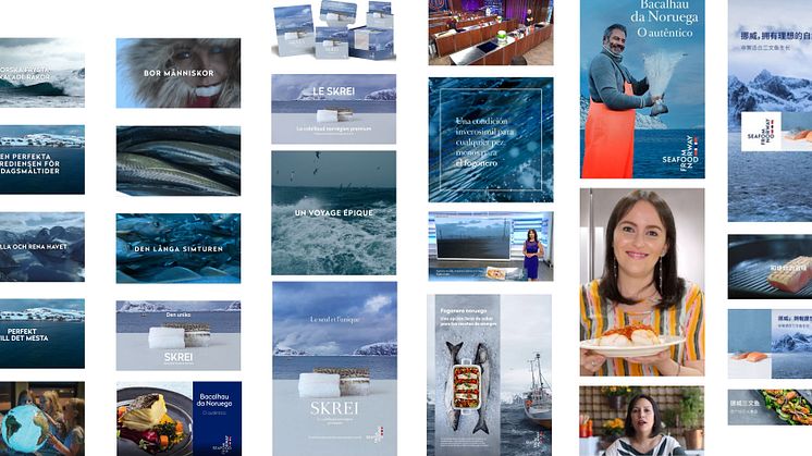 Et lite utdrag av noen av de internasjonale reklamekampanjene som ble kjørt i 2021