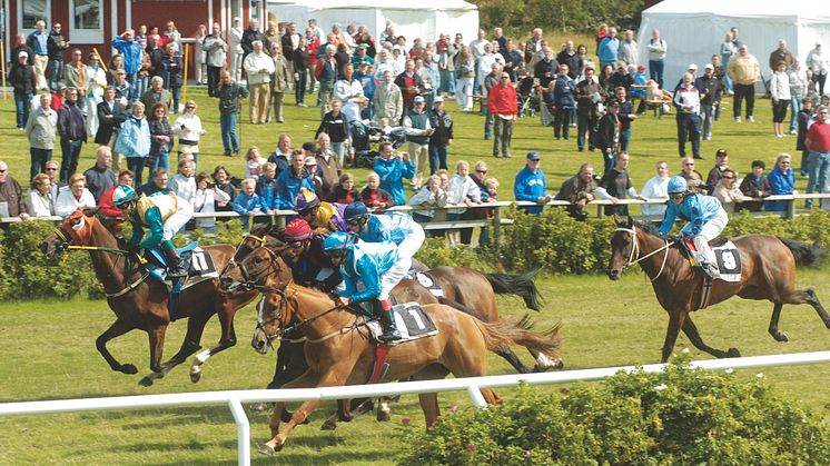 Göteborg Galopp