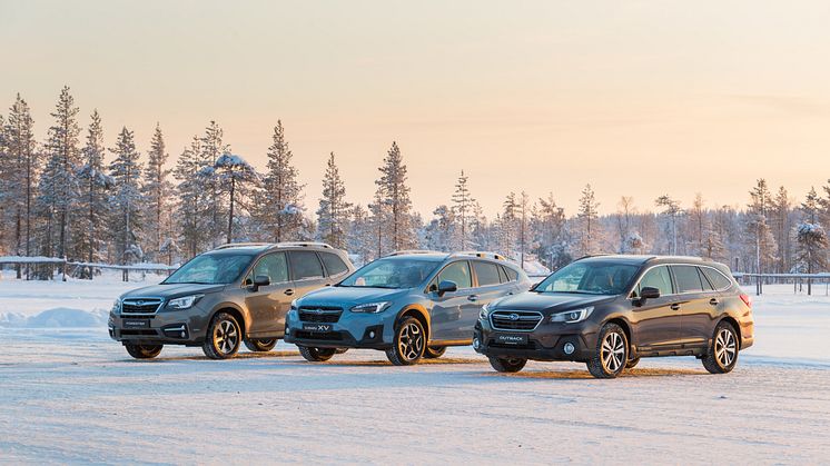 Prisregn over Subaru "over There"