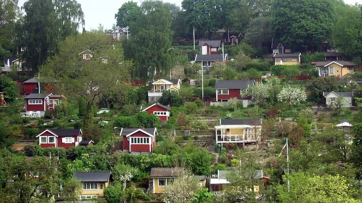 Koloniträdgårdsförbundet ny medlemsorganisation hos Studiefrämjandet