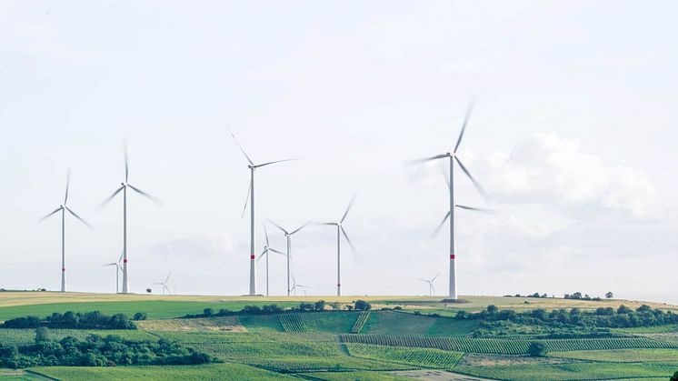 421 klimatkompenserar över 500 ton koldioxid tillsammans med GoClimate.