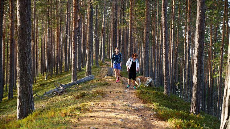 Isälvsleden i Västerbotten. Foto: Anna-Karin Drugge