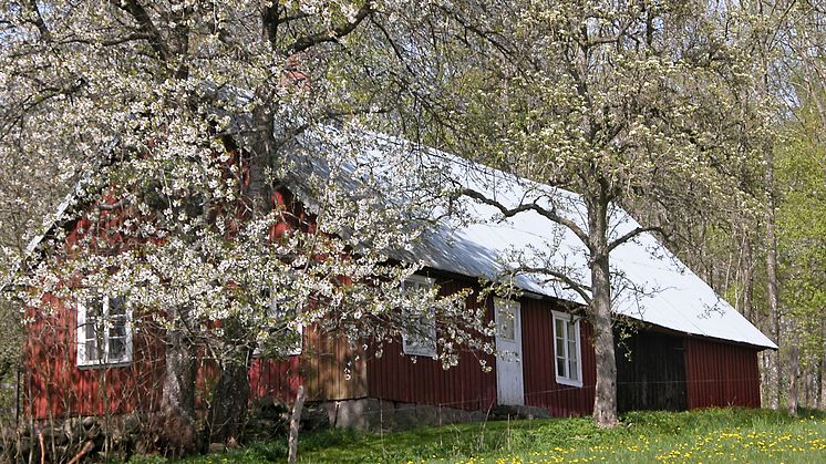 Mäklarinsikt: Tio-i-topplista Fritidshus i Uppsala 