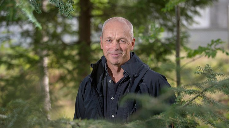 Professor Torgny Näsholm, Sveriges lantbruksuniversitet, Umeå, mottar måndag 24 september årets Marcus Wallenbergpris på 2 miljoner kronor.
