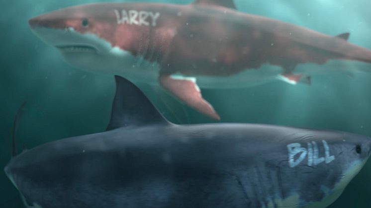 3D sharks waiting for their prey 