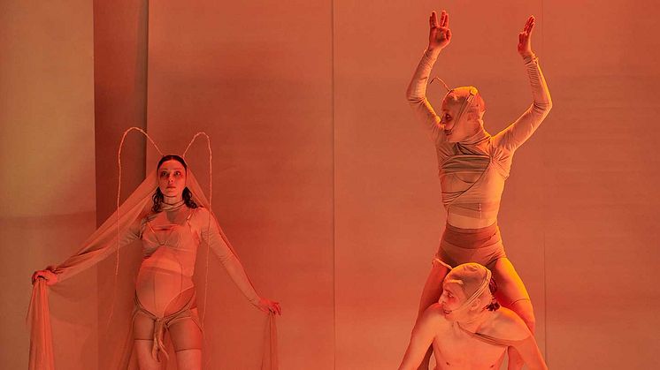 Dags att söka kurser inom dans, cirkus, opera, teater eller scenkonst på Stockholms konstnärliga högskola! Foto: Per Bolkert.