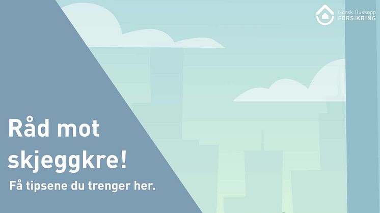 Råd mot skjeggkre - slik blir du kvitt skjeggkre