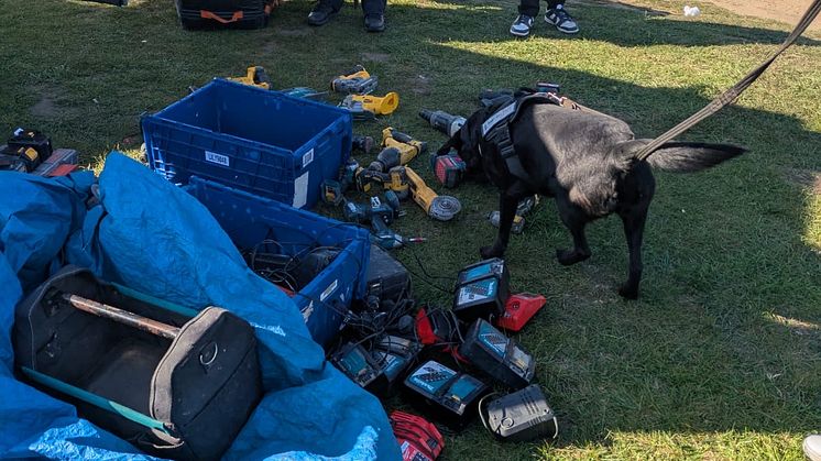 SelectaDNA's dog sniffing out the suspected stolen goods.JPG