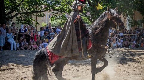 Medeltidsmarknad Wadköping