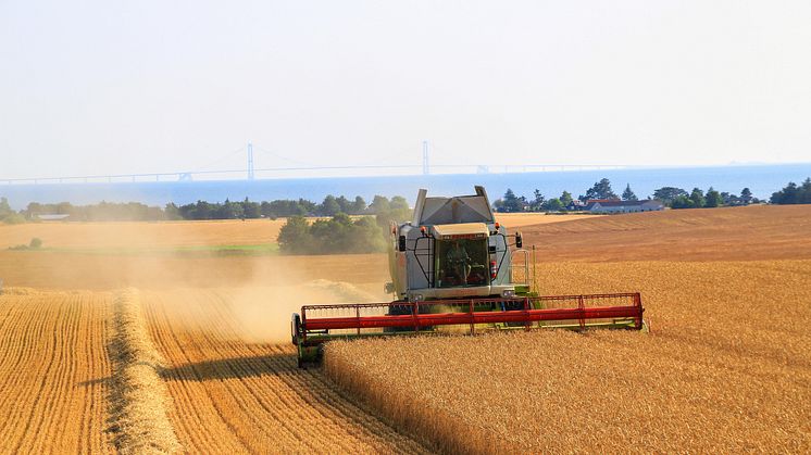 Kokkenes Køkken omlægger til 100% økologisk dansk mel og korn i nyt strategisk samarbejde med Mejnerts Mølle og Aurion