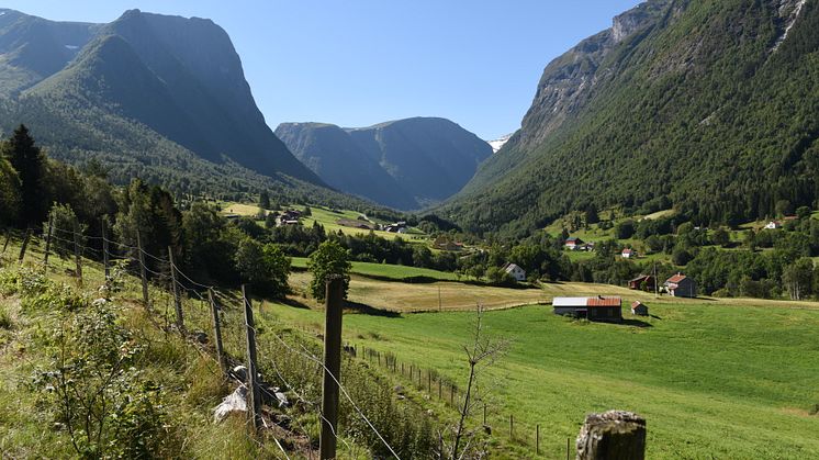 Vik i Sogn. 