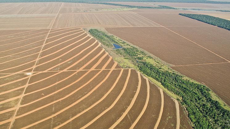 Uppodlad f.d. skogsmark i Mato Grosso i Brasilien. Foto: Riccardo Pravettoni (https://www.grida.no/resources/3125)