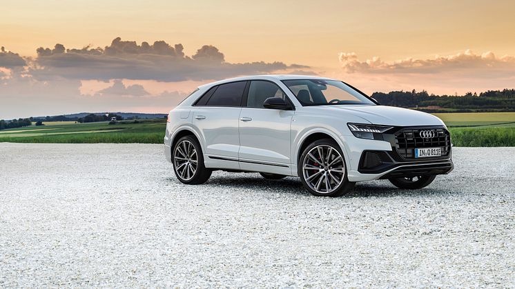 Audi Q8 60 TFSI e quattro (Gletsjerhvid)