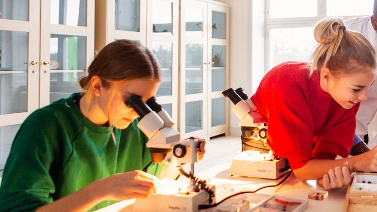 Labbet