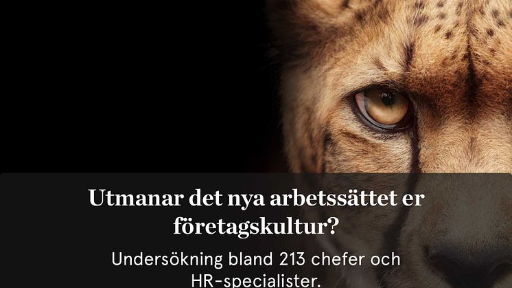 Ny undersökning: Utmanar det nya arbetssättet er företagskultur?