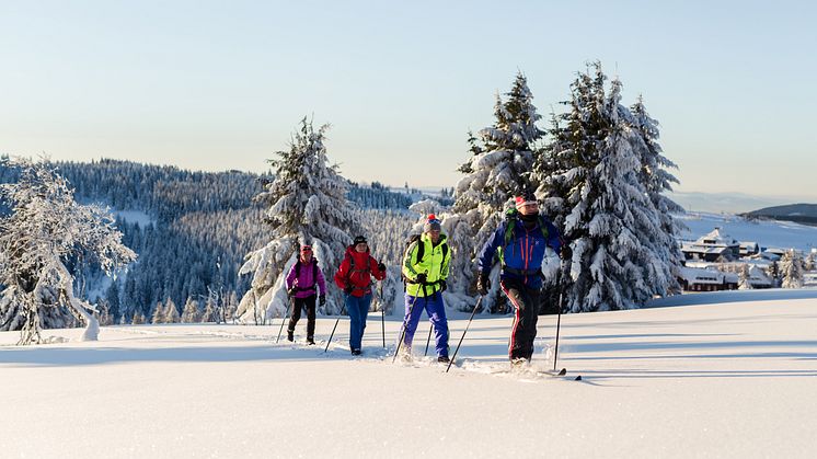 SMQ Snow_Gruppe_Foto_TVE_Studio2Media 