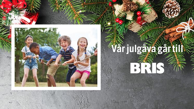 Årets julgåva från Finja går till Bris