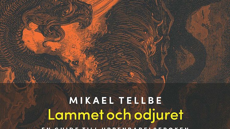 Lammet och odjuret Nyutgåva_9789173875608