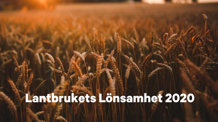 Lantbrukets Lönsamhet november 2020