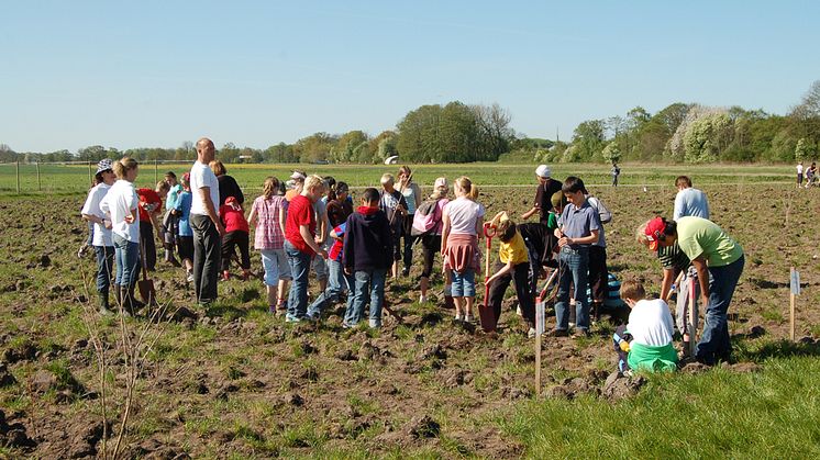  Årets trädplanteringsdagar 9 och 10 maj har skogens ekosystemtjänster som tema. Miljöverkstaden bjuder in drygt 1400 elever i årkurs 4 att plantera träd i Sofieroskogen.