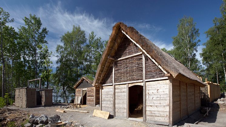 Vikingakvarter står färdigt på Birka i sommar