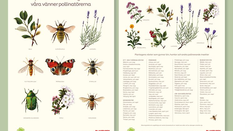 Pollinera Sveriges och Plantagens informationsmaterial med pollinerande insekter och viktiga växter.