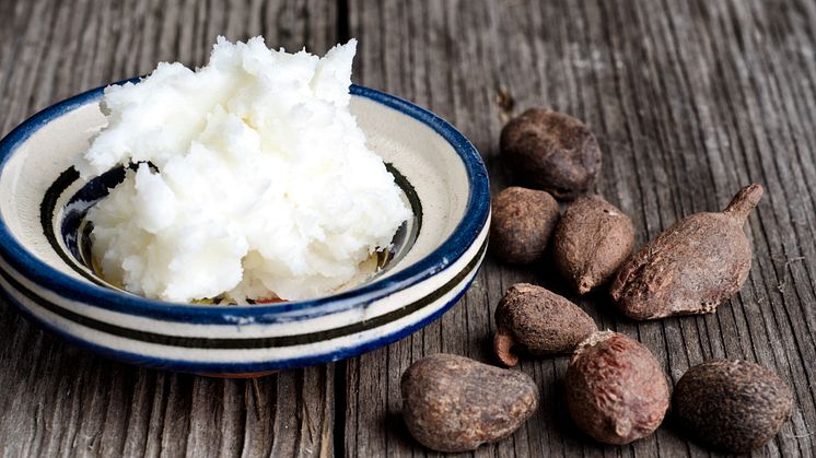 Sheabutter stammt aus den Nüssen des afrikanischen Karitébaums. Bild: luisapuccini I stock.adobe.com