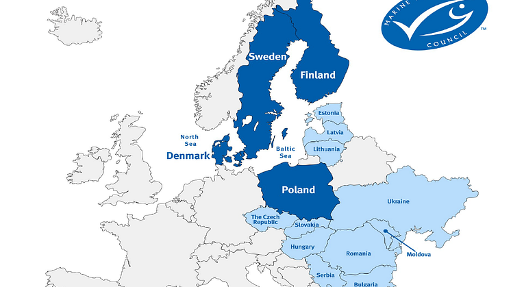 MSC:n Puolan, Ruotsin, Tanskan ja Suomen tiimit yhdistyvät – uusi rakenne Itämeren ja Keski-Euroopan alueelle 