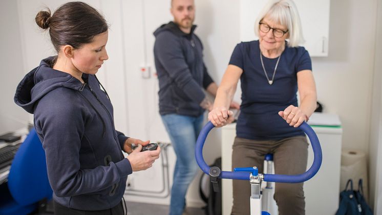 Fystest vid pilotstudie