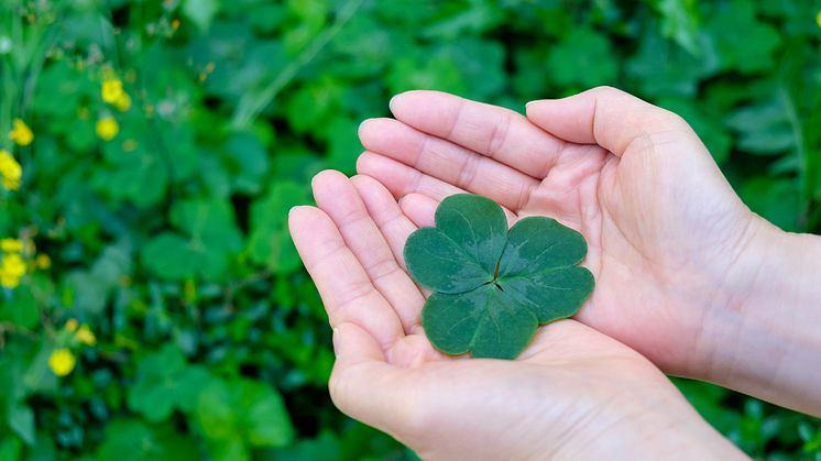 KommuneKredit Green Bond Facts