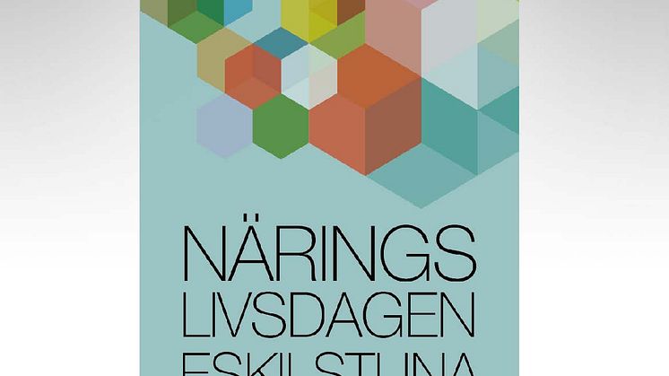 Näringslivsdagen Eskilstuna - möten som stimulerar och utvecklar