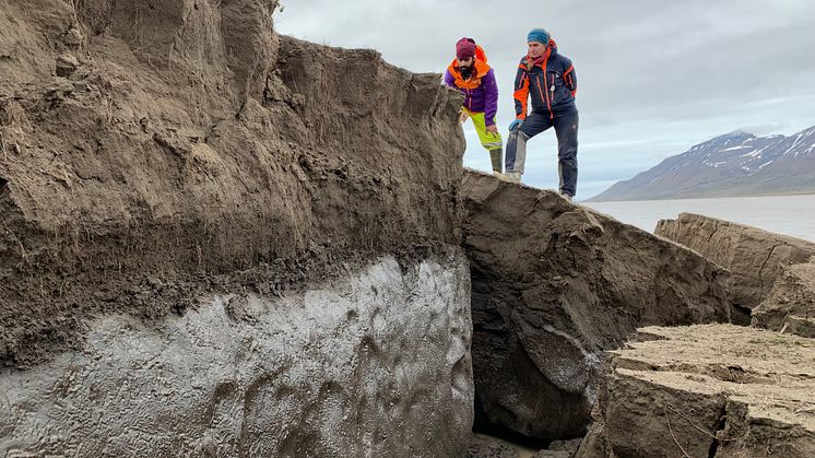 Permafrosten på Svalbard slik den ligger under et aktivt lag som påvirkes av årlige endringer i temperatur. Foto: Graham Gilbert