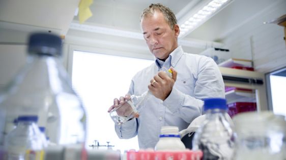 Professor Stefan Björklund in his lab at Umeå University, Sweden.