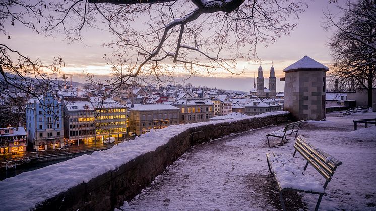 Blick vom Lindenhof Zuerich 