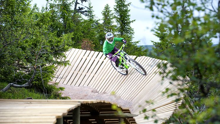 SkiStar Sälen: Midnattscykling i Sälen Bike Park