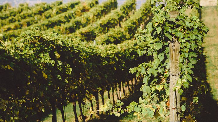 Italien2018_HIGHRES_33