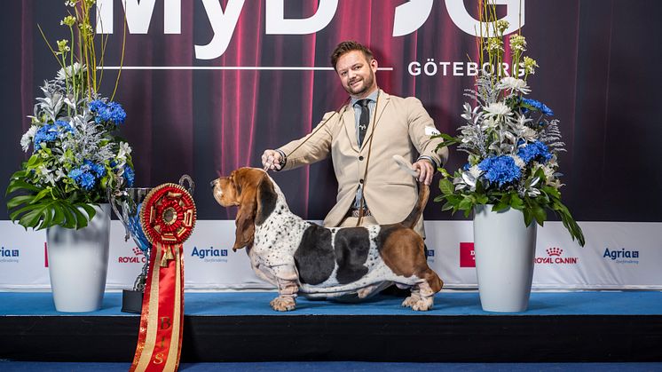 BIS MyDOG 1_Foto Ulrika Claeson Månsson