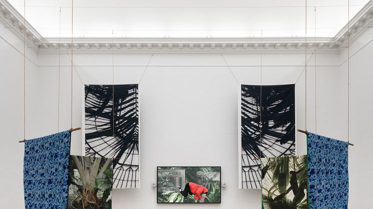 Shiraz Bayjoo, Zot Konn – Yeman (They know – The Wise), 2022. Palm Crown, 2022. Roots and Vine, 2022. Tangena Ordeal, 2022. Plantation Landscape, 2022. Split-architecture 1, 2023. 