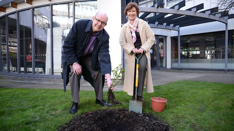 Modern slavery rose planting contributes to fight against UK slavery