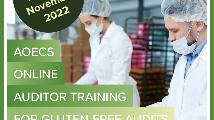 BANNER_AUDITOR-TRAINING_broad