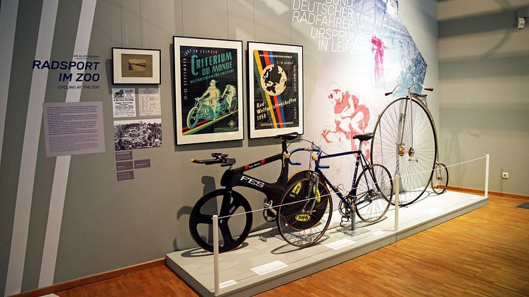 Fahrräder von Jens Lehmann und Uwe Ampler sowie ein Hochrad in der Ausstellung "In Bewegung - Meilensteine der Leipziger Sportgeschichte"