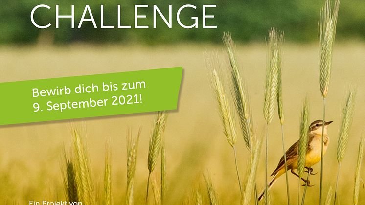 Mondelez_Biodiversity Challenge_Bild2.jpg