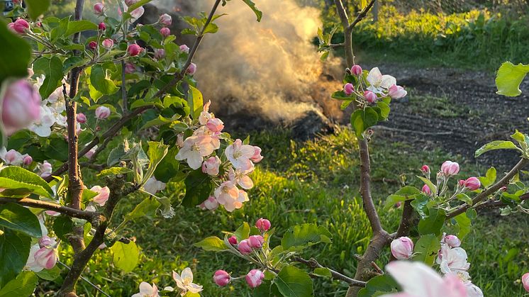 Image (44).jpg