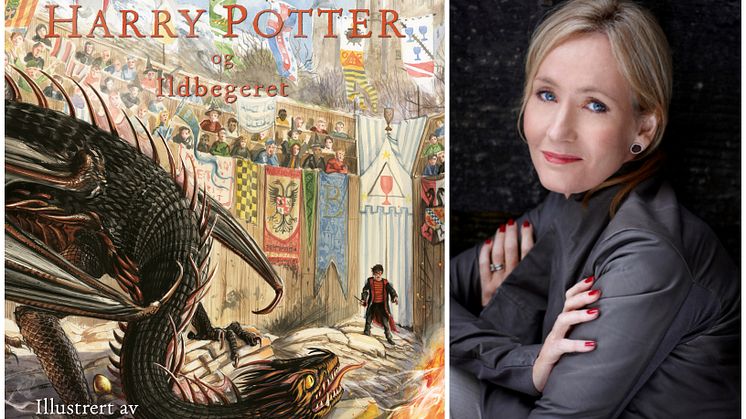 Det er allerede 20 år siden bøkene om Harry Potter begynte å spre seg som en farsott over Norge. Bøkene om foreldreløse Harry trollbinder fortsatt barn og voksne (Illustrasjoner: Jim Kay Foto: Debra Hurford Brown) .