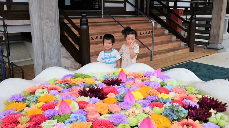 Kawagoe Hanchozu - Potted Floating Flowers